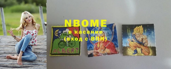 стафф Бердск